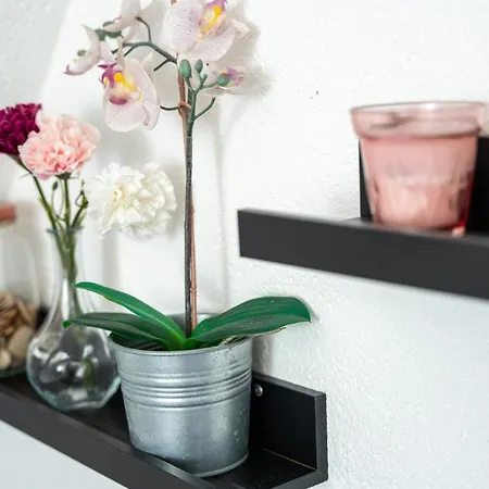 #1 Modernes Mit Pool Und Garten Privat bolig *