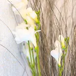#1 Modernes Mit Pool Und Garten *