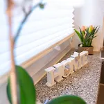 #1 Modernes Mit Pool Und Garten
